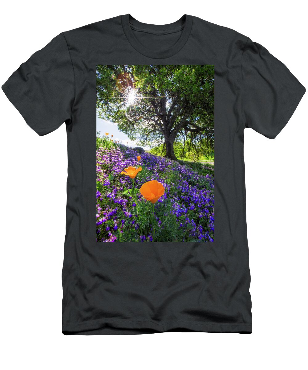 Spring Session Mount Diablo Le Vincent James T-Shirt