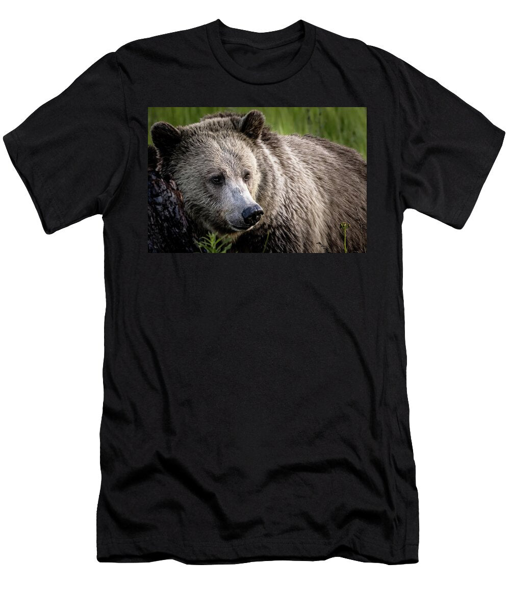 Spring Snow Julie Argyle T-Shirt