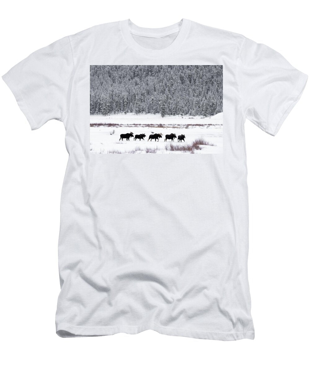 Stacked Julie Argyle T-Shirt