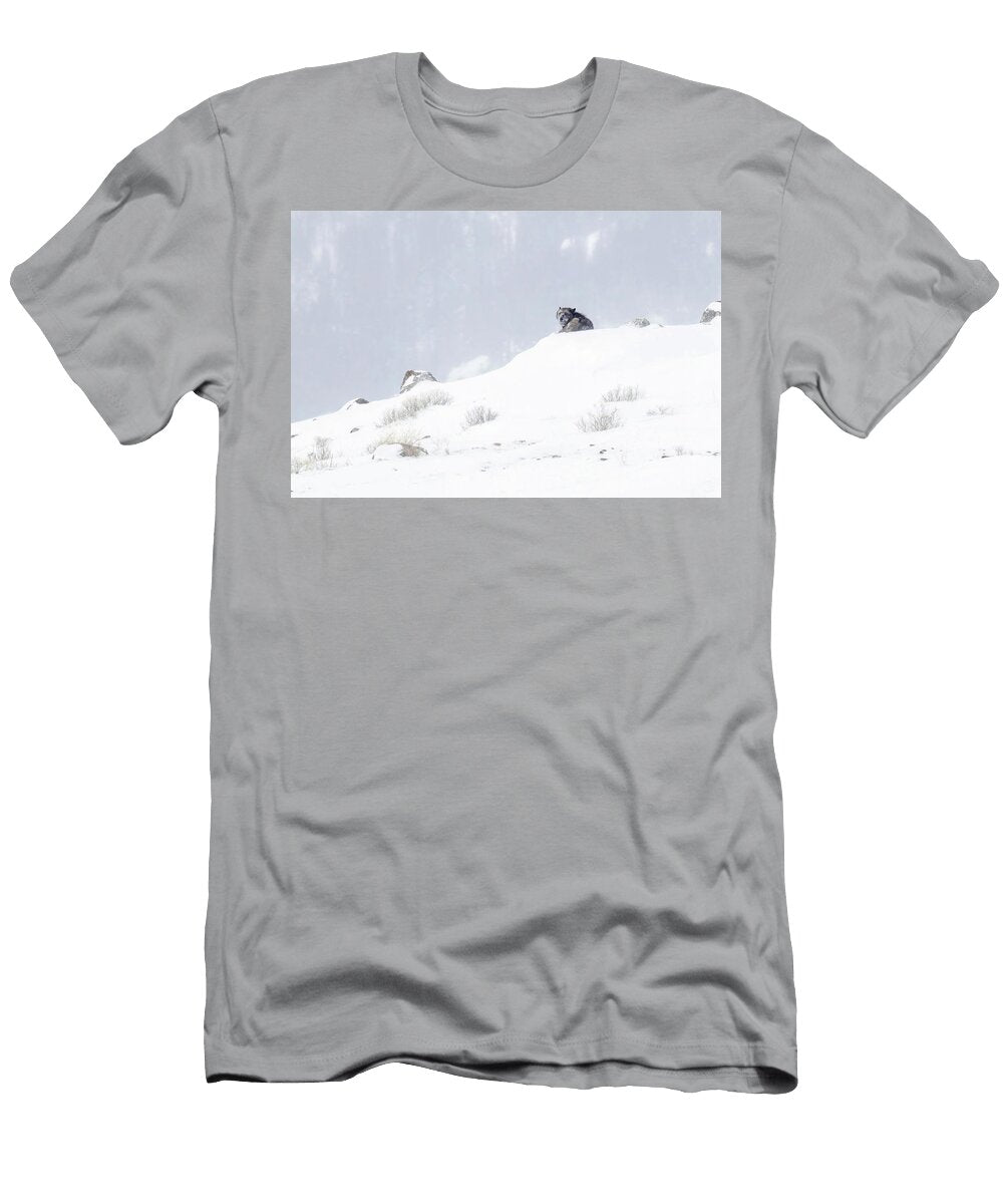 Stones Julie Argyle T-Shirt