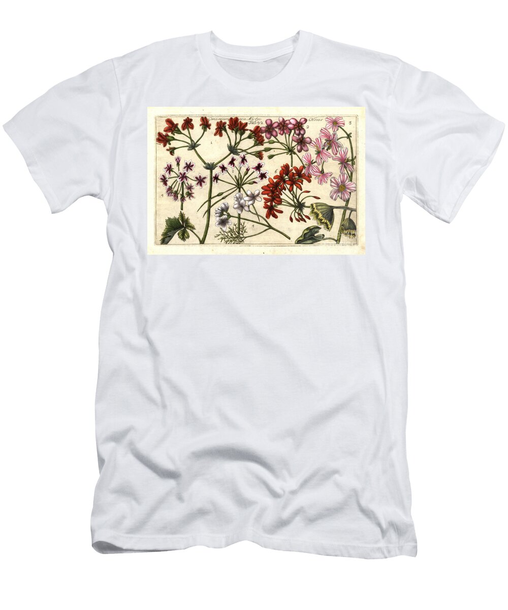 Storks S Bill Erodium Cicutarium Geranium Seu Noctute Olens European School T-Shirt