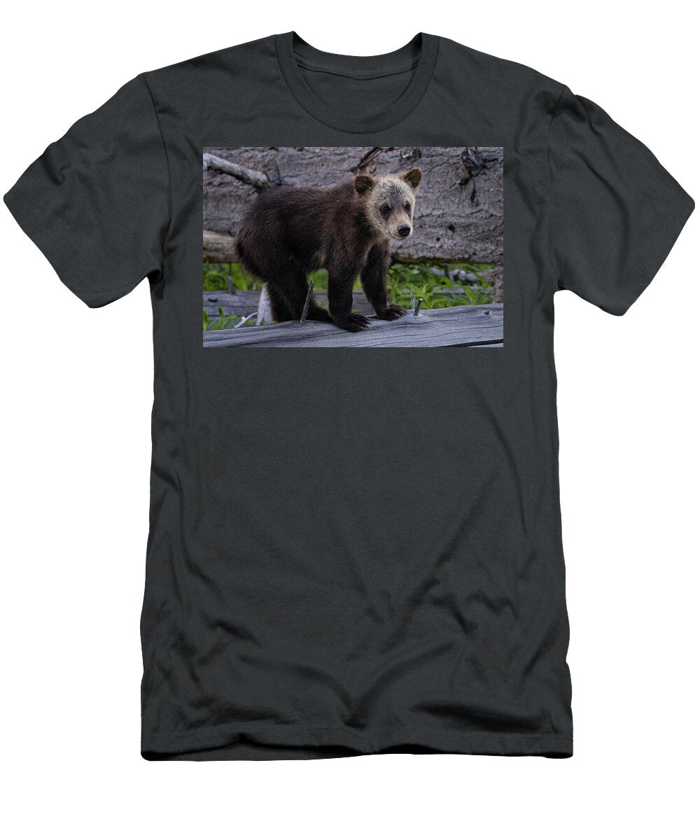 Storm Julie Argyle T-Shirt