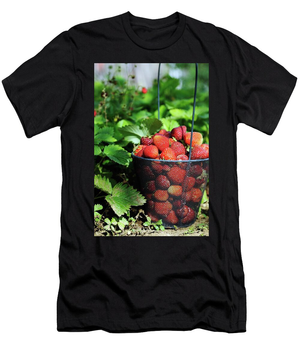 Strawberries in a Wire Basket in a Field Mario Matassa T-Shirt