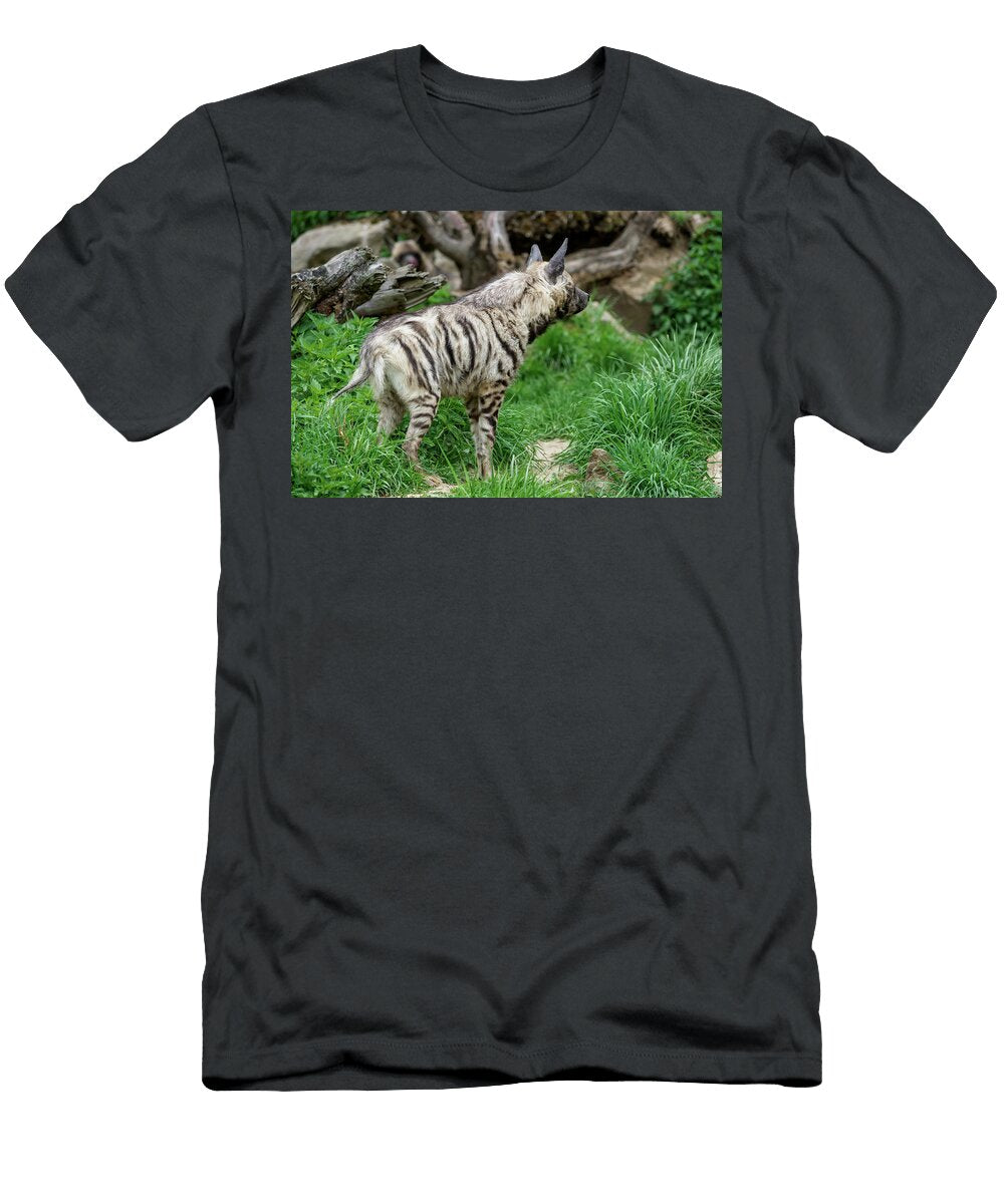 Striped Hyena Hyaena Hyaena Sultana Lubos Chlubny T-Shirt