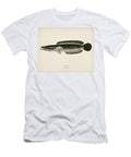 Striped Snakehead Channa Striata Illustrated By Charles Dessalines D Orbigny 1806 1876 Celestial Images T-Shirt