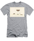 Study Sheet with Various Insects Rochus Van Veen 1680 Rochus Van Veen T-Shirt