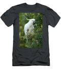 Sulphur Crested Cockatoo Feeding on Spider Flower Seed Pods Steven David Miller Natureplcom T-Shirt