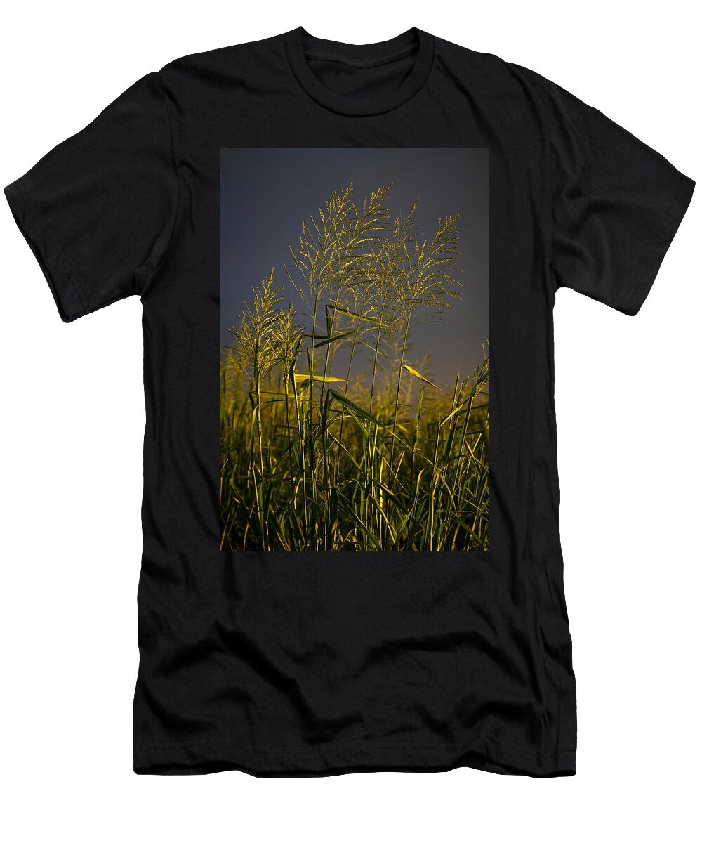 Summer of Our Life Mario Morales Rubi T-Shirt