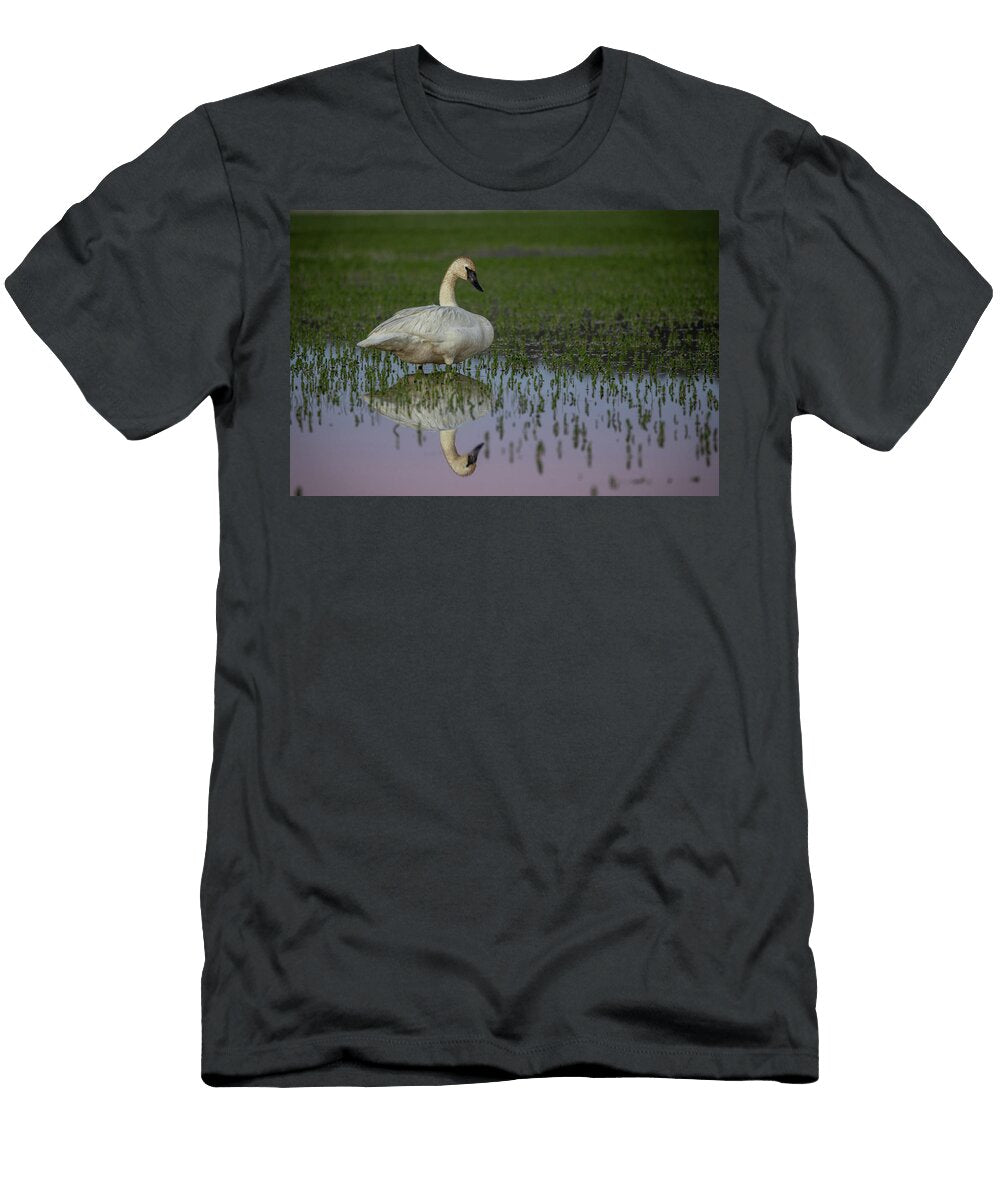 Summer Reflection Ii Julie Argyle T-Shirt