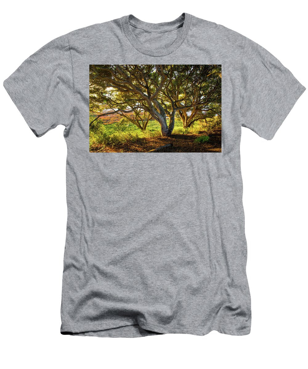 Sun Kissed Morning Joe Azevedo T-Shirt