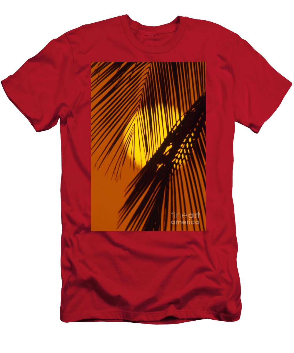 Sun Shining Through Palms Ron Dahlquist T-Shirt