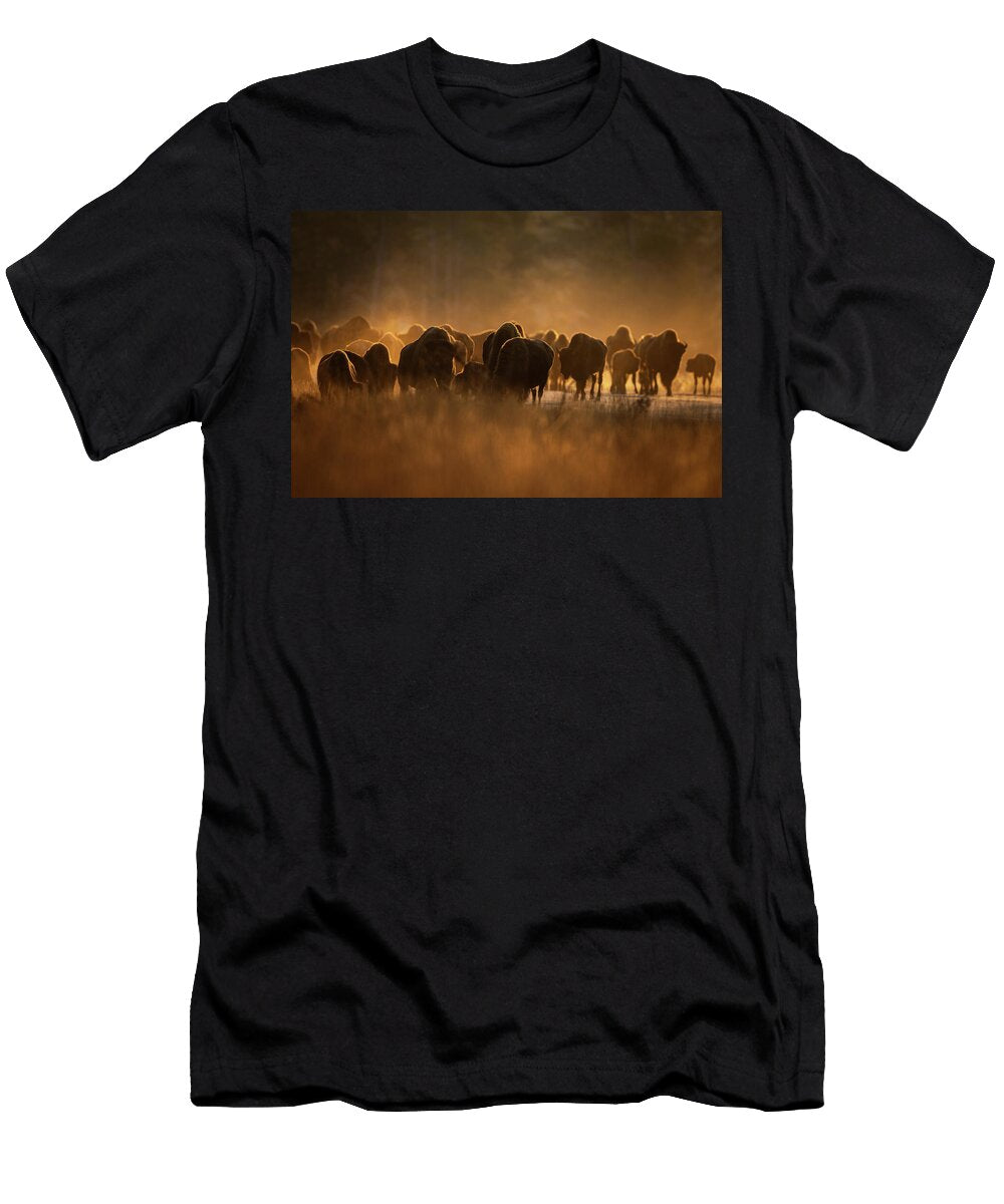 Sunkissed 5 Julie Argyle T-Shirt