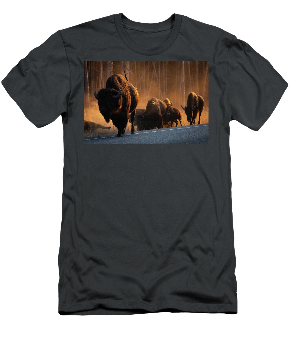 Sunkissed 8 Julie Argyle T-Shirt