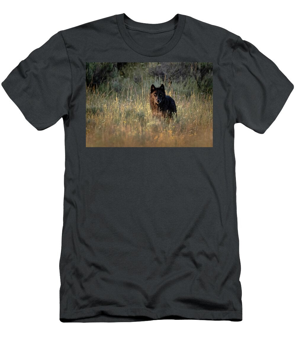 Sunkissed Julie Argyle T-Shirt