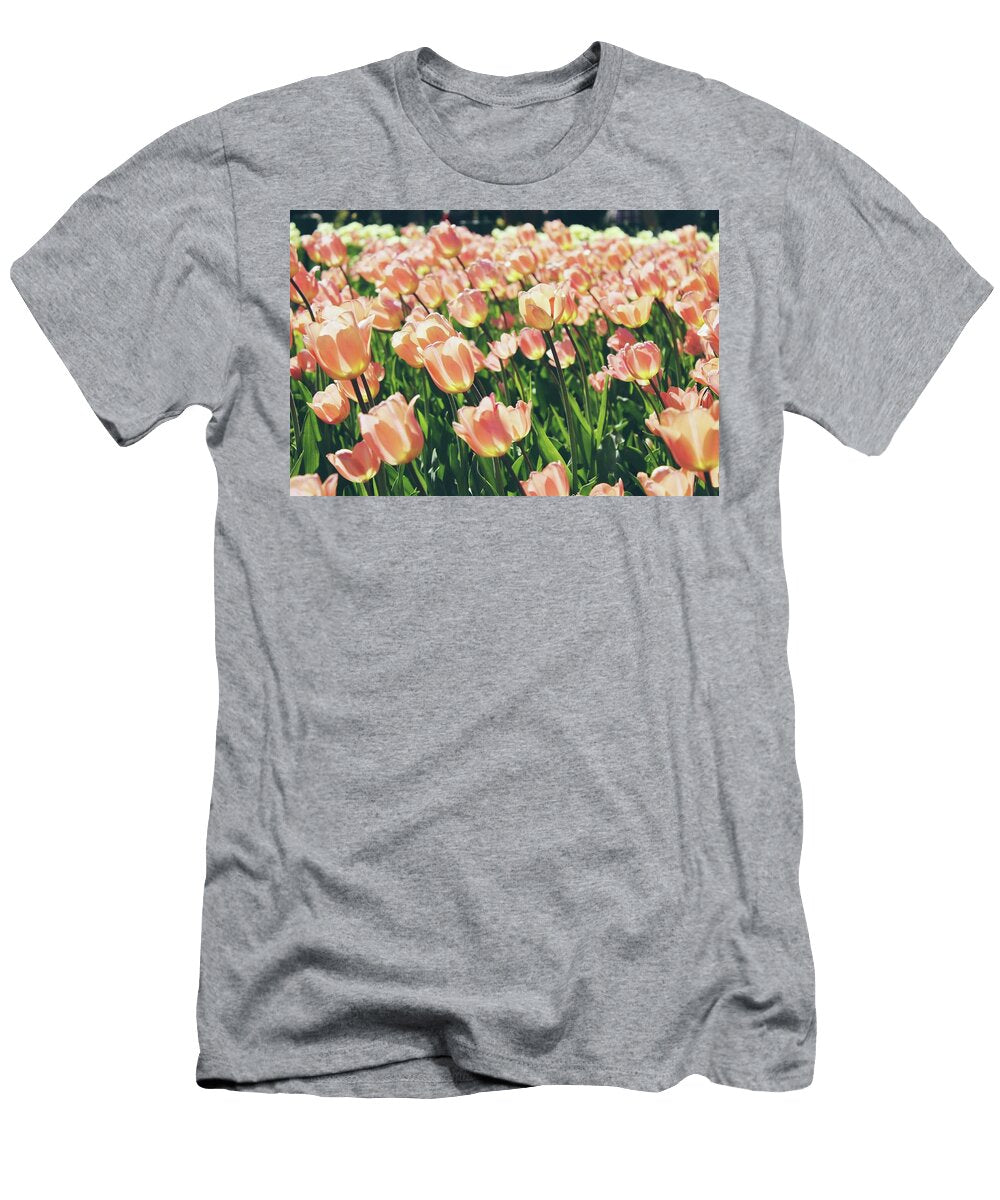 Sunlit Tulips Pink Tulips Blooms in the Morning Saint Petersburg Russia Julien T-Shirt
