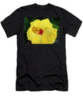 Suns Reflection Cat Pancake T-Shirt