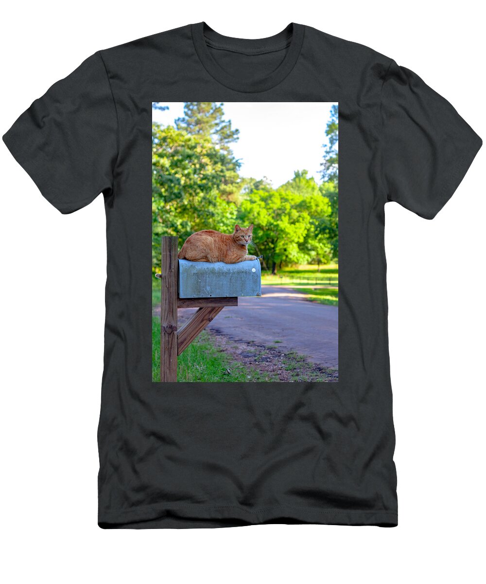 Sunset At the Mailbox William Hafermalz T-Shirt