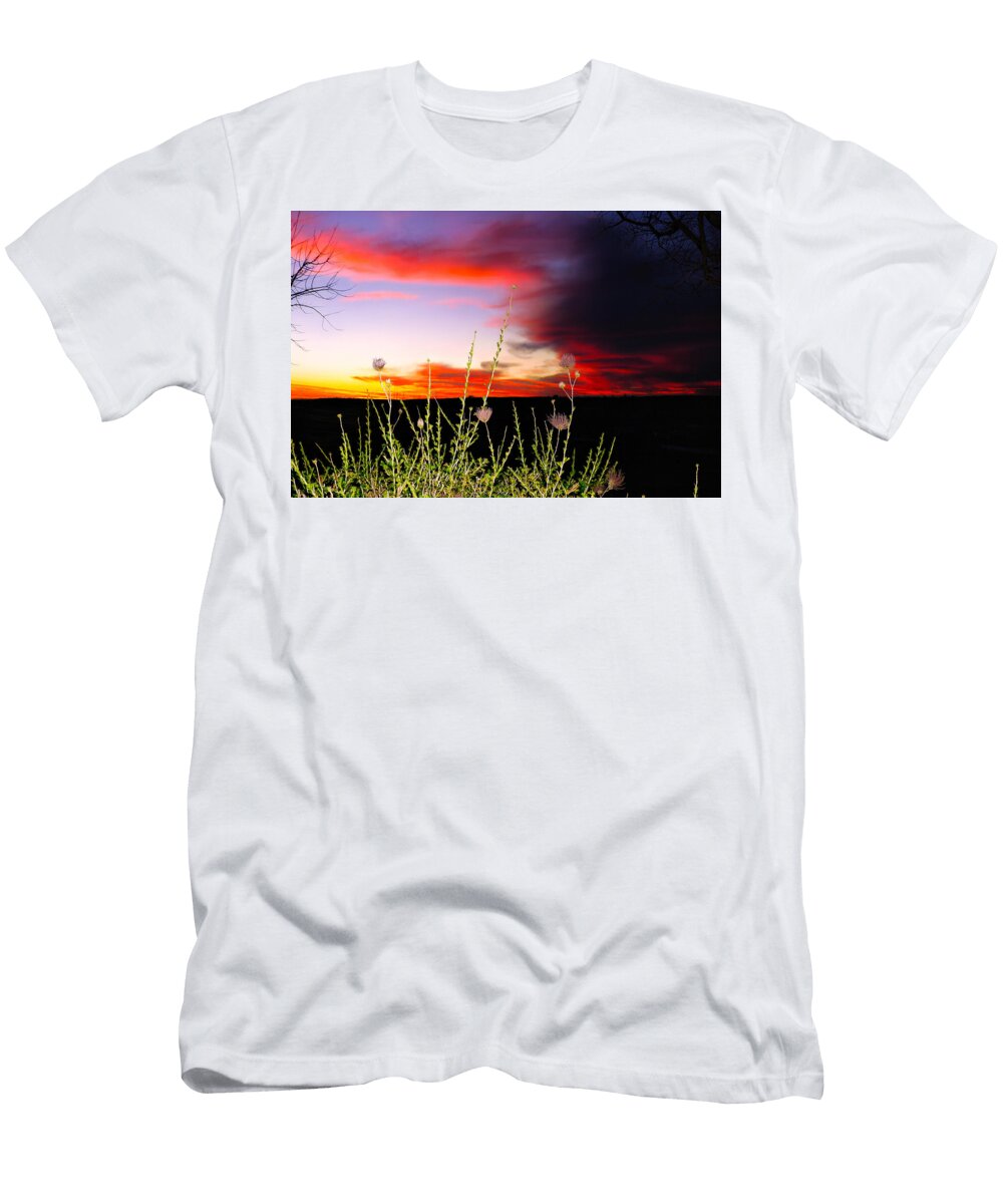Sunset with Thistle Silhouettes Mario G Rivera T-Shirt