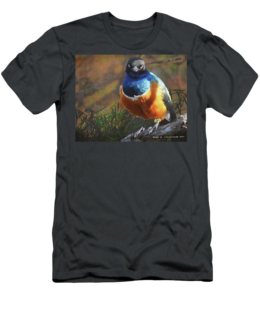 Superb Starling R Christopher Vest T-Shirt