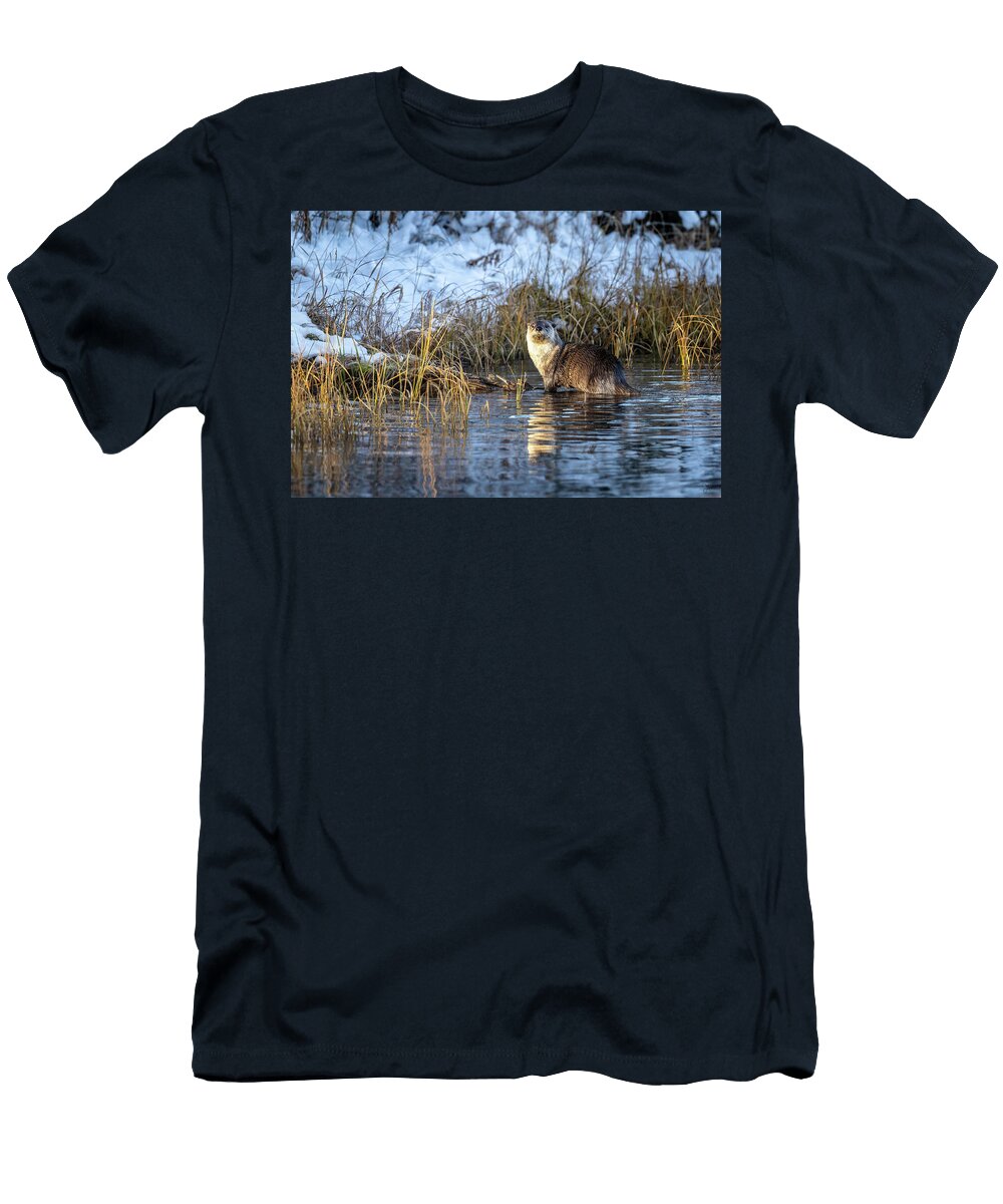 Sylvans Otter Julie Argyle T-Shirt