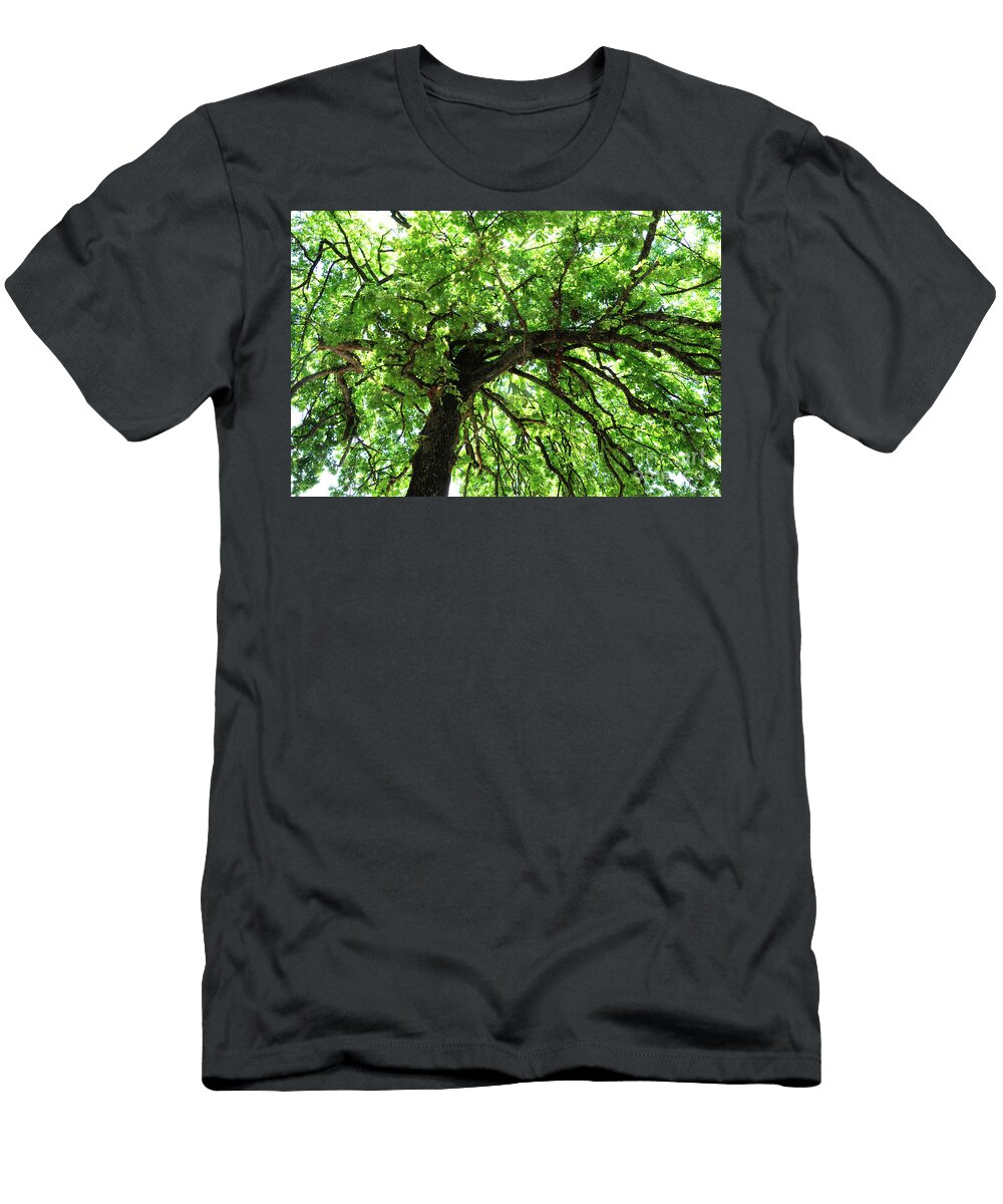 Tall Tree Canopy Outdoors Milleflore Images T-Shirt