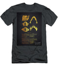 Teeth and Jaw Anatomy Aged Pixel T-Shirt