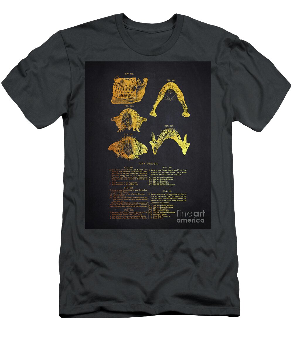 Teeth and Jaw Anatomy Aged Pixel T-Shirt