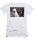 Teig and Rusted Chassis Cary Leppert T-Shirt