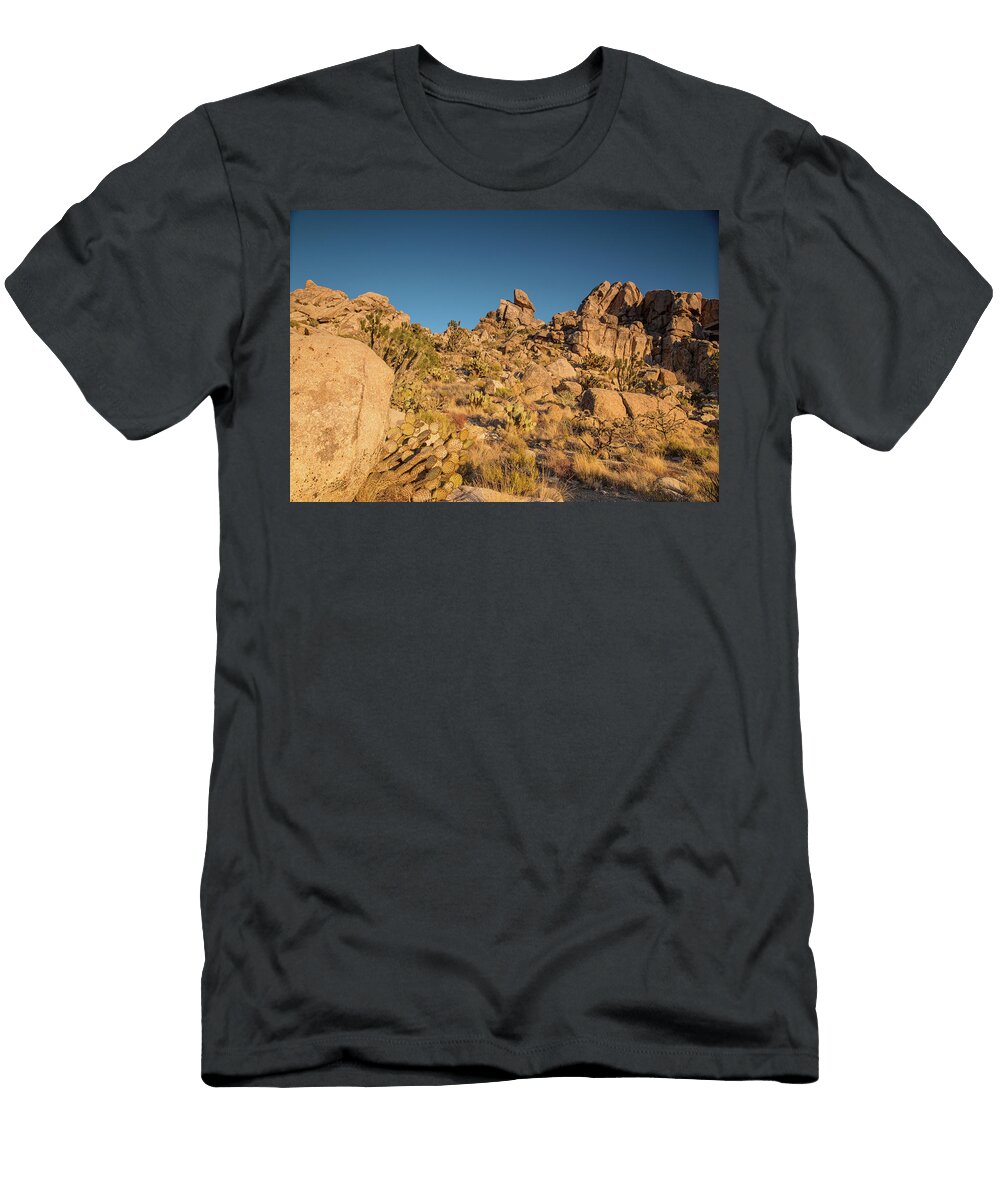 Teutonia Sunset Kunal Mehra T-Shirt