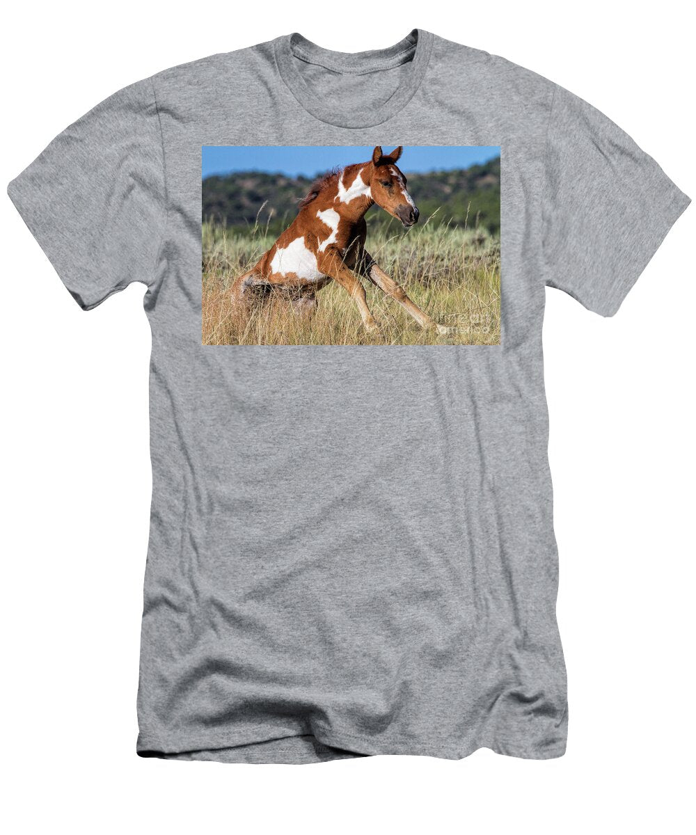 That Awkward Stage Jim Garrison T-Shirt