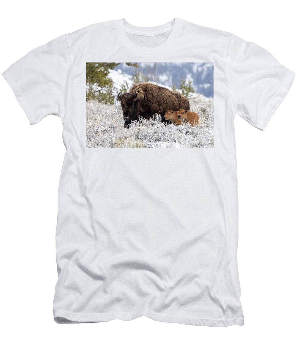 The Babysitter Julie Argyle T-Shirt
