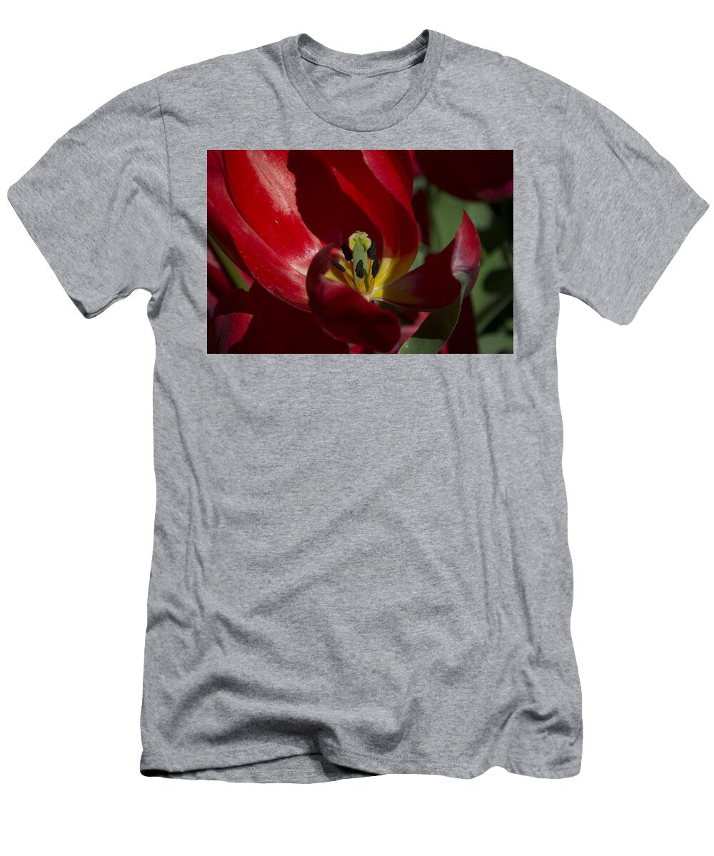 The Center Karen Warner T-Shirt