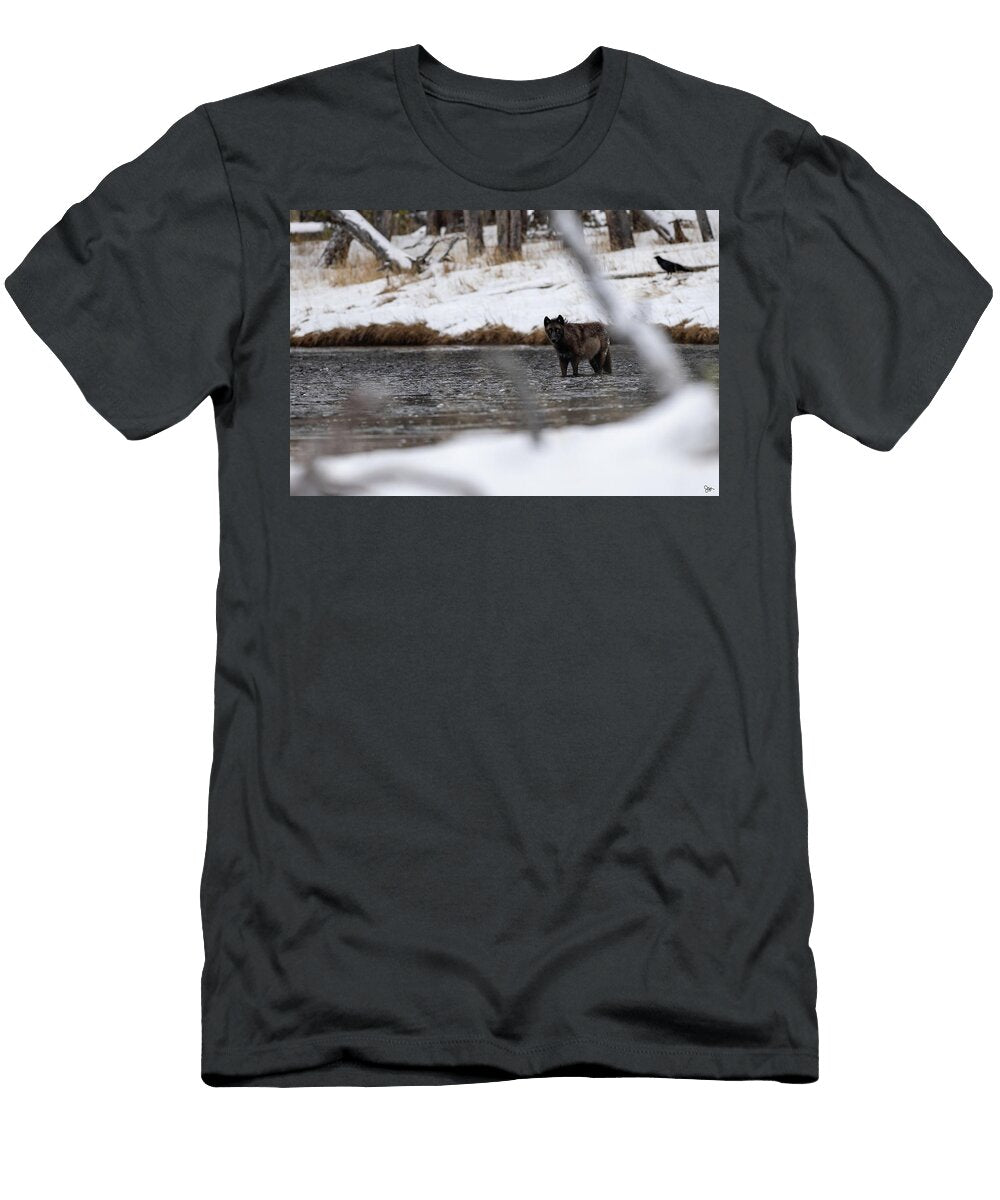 The Crossing Julie Argyle T-Shirt