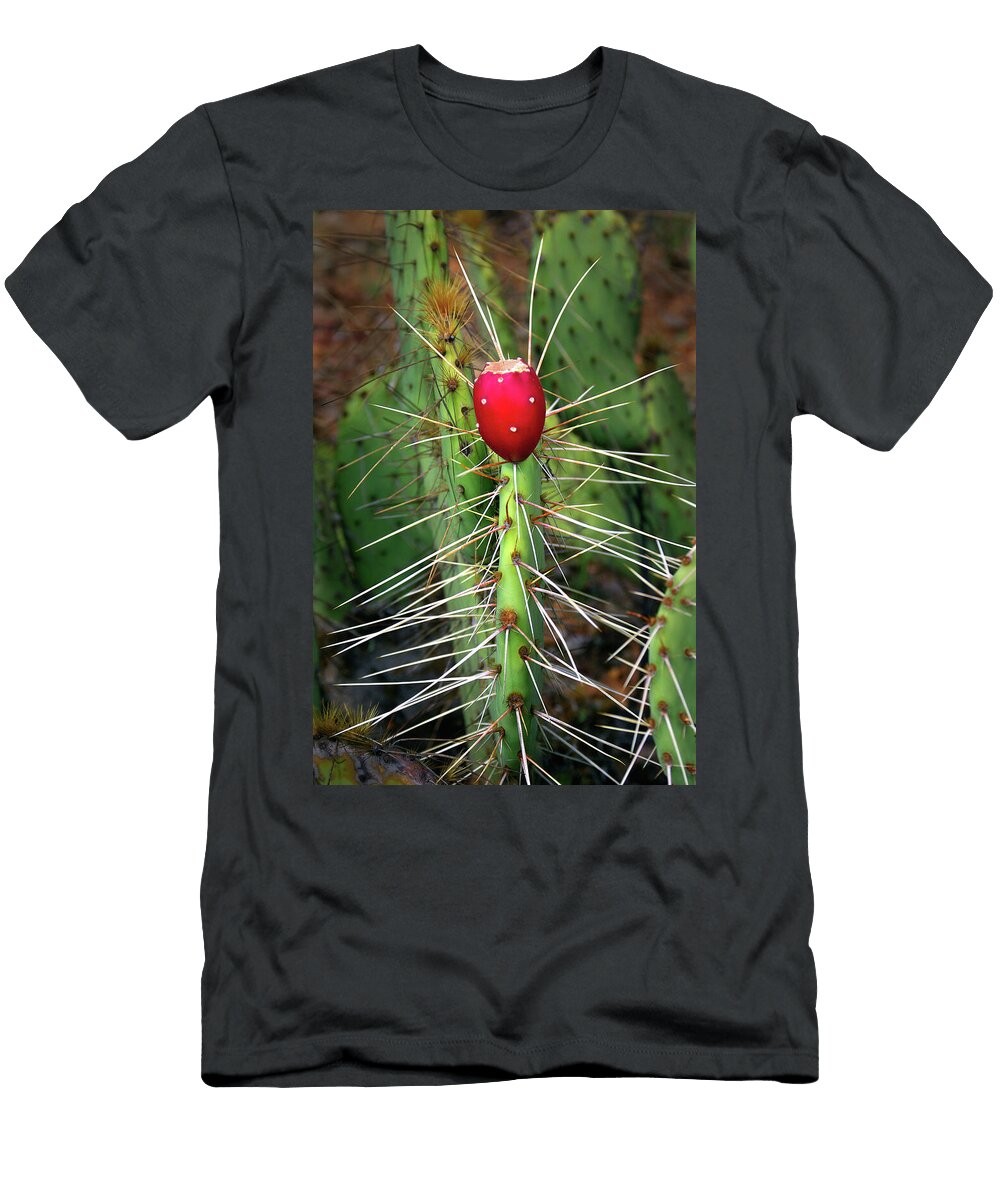 The Forbidden Fruit Douglas Taylor T-Shirt