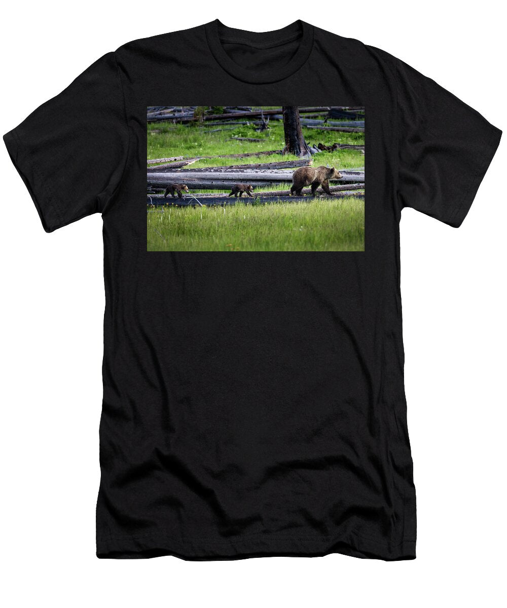 The Journey Julie Argyle T-Shirt