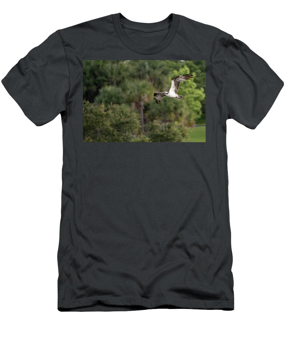 The Ospreys Calculated Chaos Chris Shaw T-Shirt