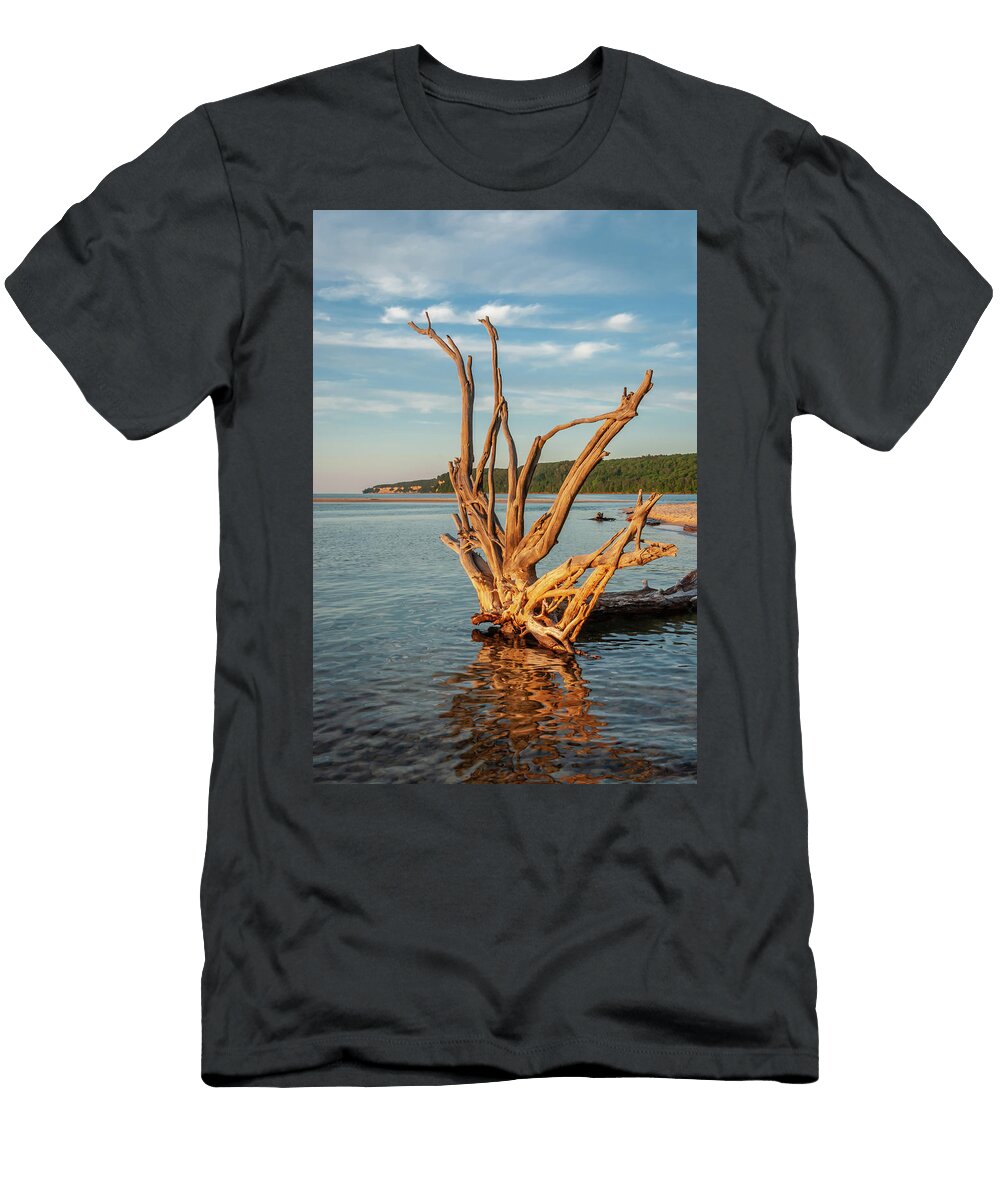 The Stump At Sand Point Tim Trombley T-Shirt