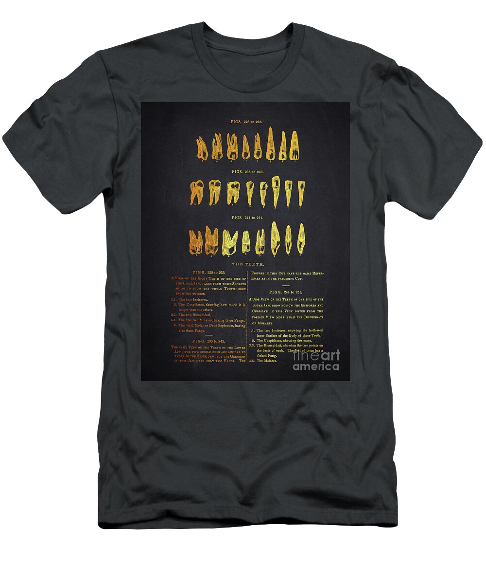The Teeth Anatomy Aged Pixel T-Shirt