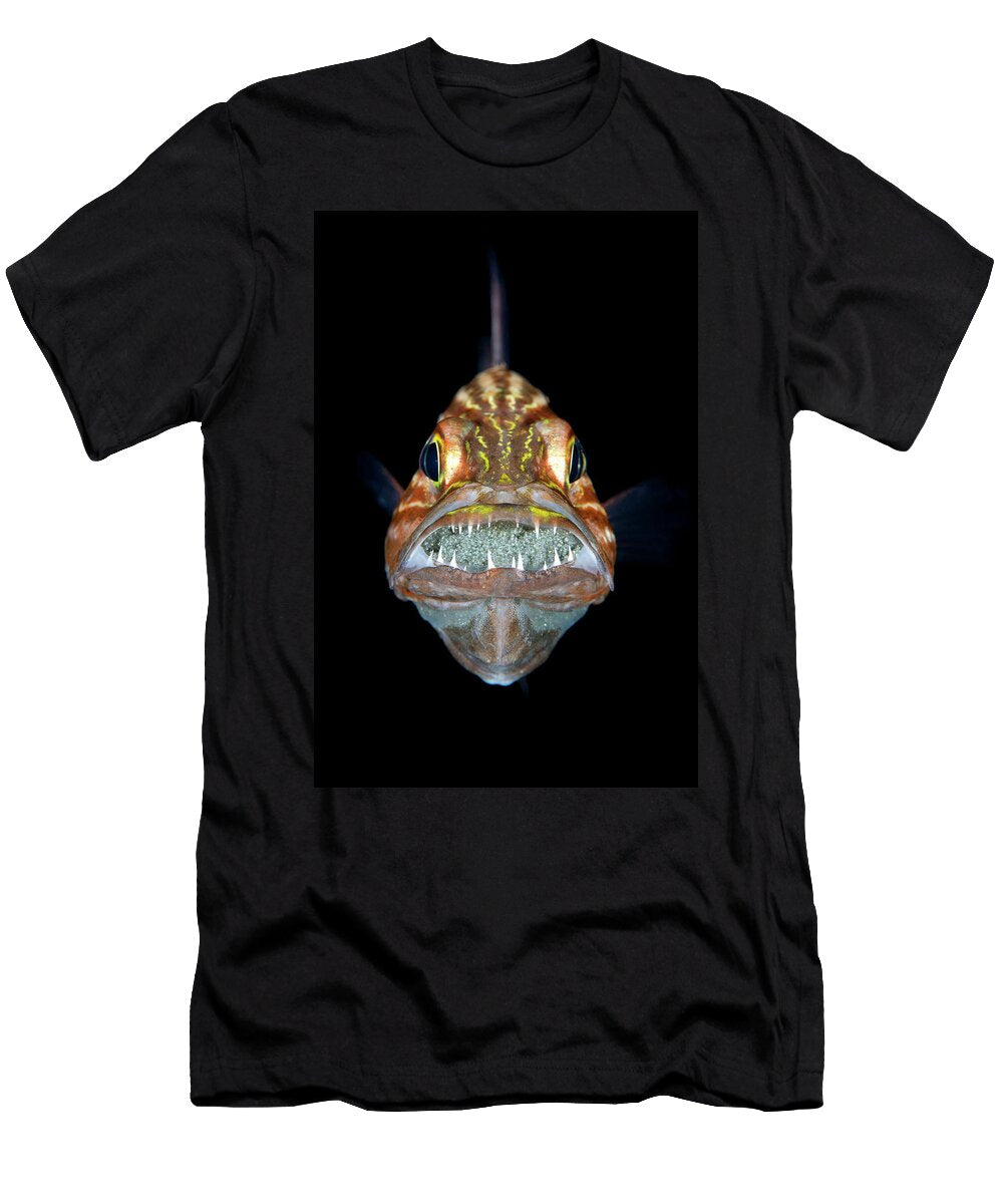 Tiger Cardinalfish Male Mouth Brooding a Clutch of Eggs Alex Mustard Natureplcom T-Shirt