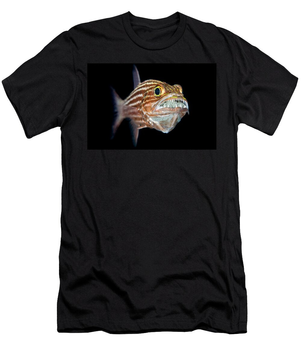Tiger Cardinalfish Male Mouth Broods a Clutch of Eggs Alex Mustard Natureplcom T-Shirt