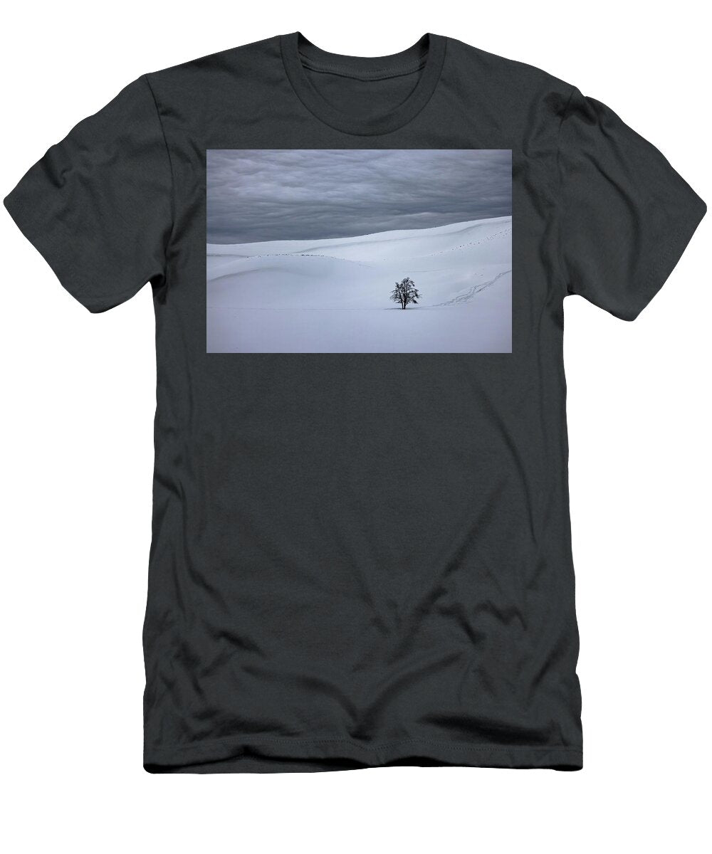 Toms Tree Julie Argyle T-Shirt