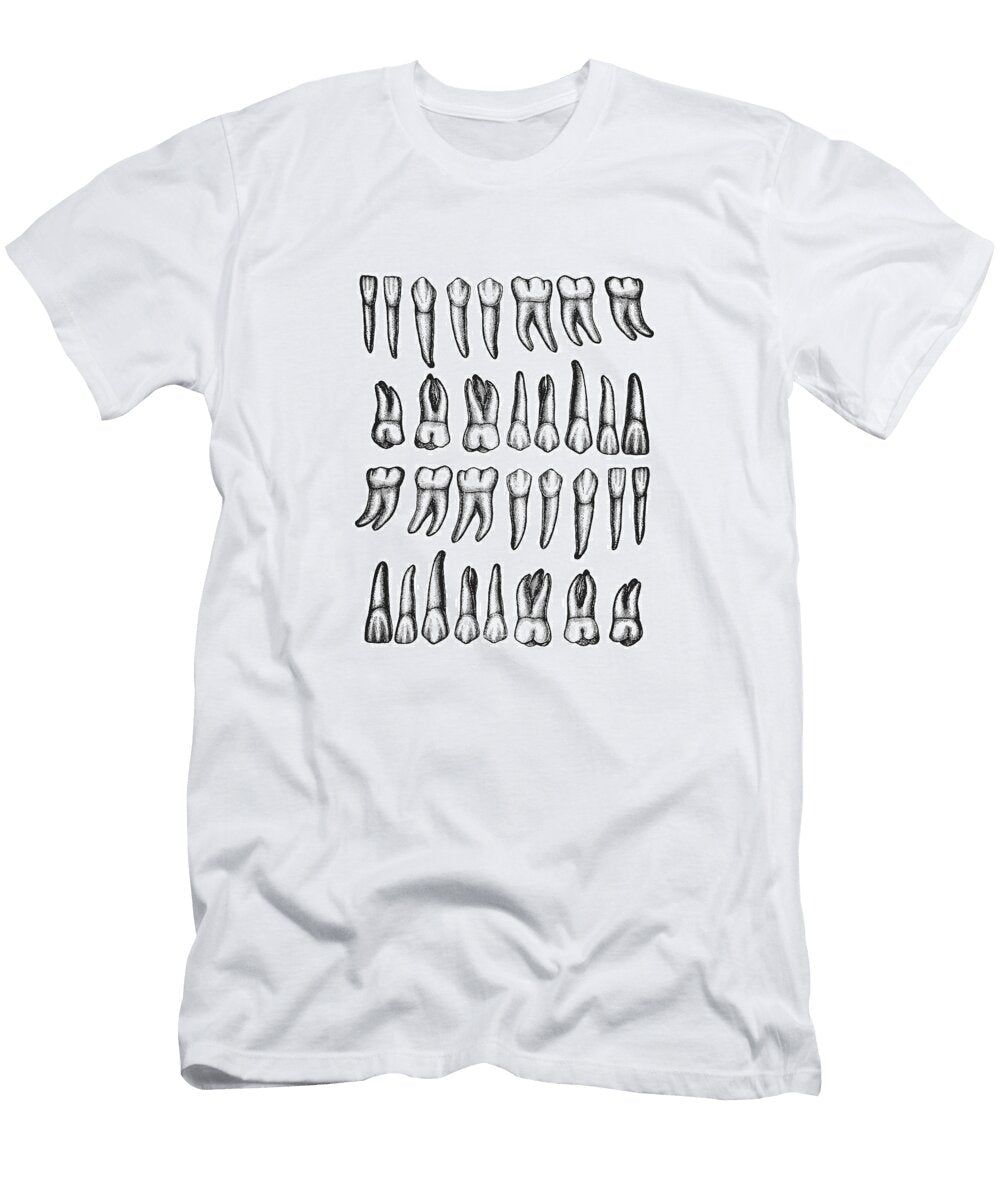 Tooth Chart Csa Images T-Shirt