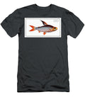 Toothless Salmon Salmo Edentulus From Ichtylogie or Histoire Naturelle Generale Et Particiere Des Marcus Elieser Bloch T-Shirt