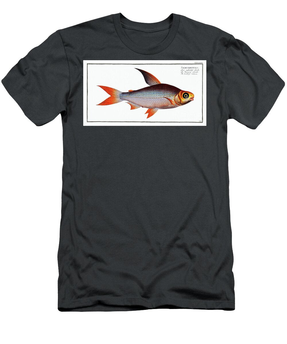 Toothless Salmon Salmo Edentulus From Ichtylogie or Histoire Naturelle Generale Et Particiere Des Marcus Elieser Bloch T-Shirt