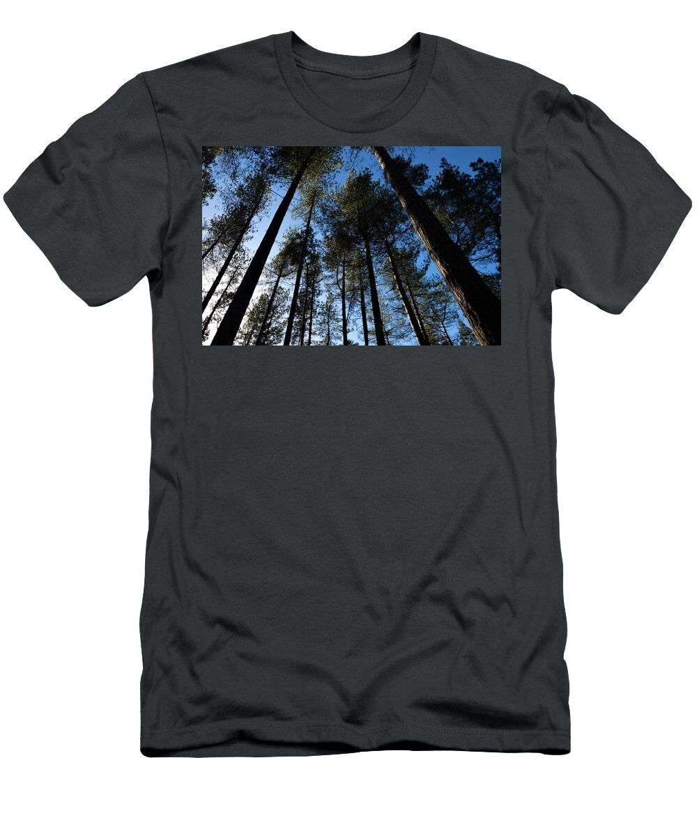 Towering Trees Ray Roscoe T-Shirt