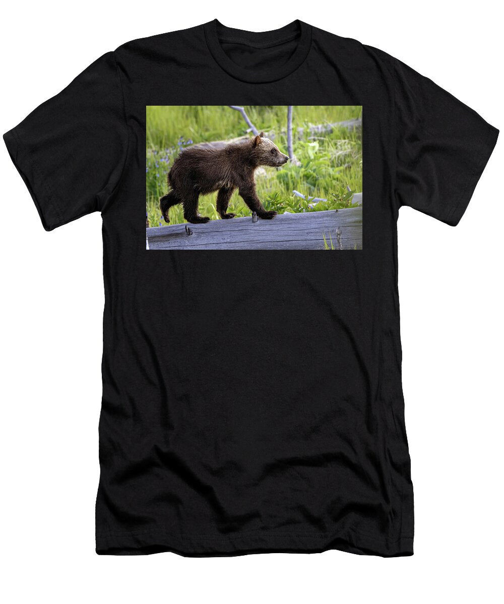 Traveler Julie Argyle T-Shirt