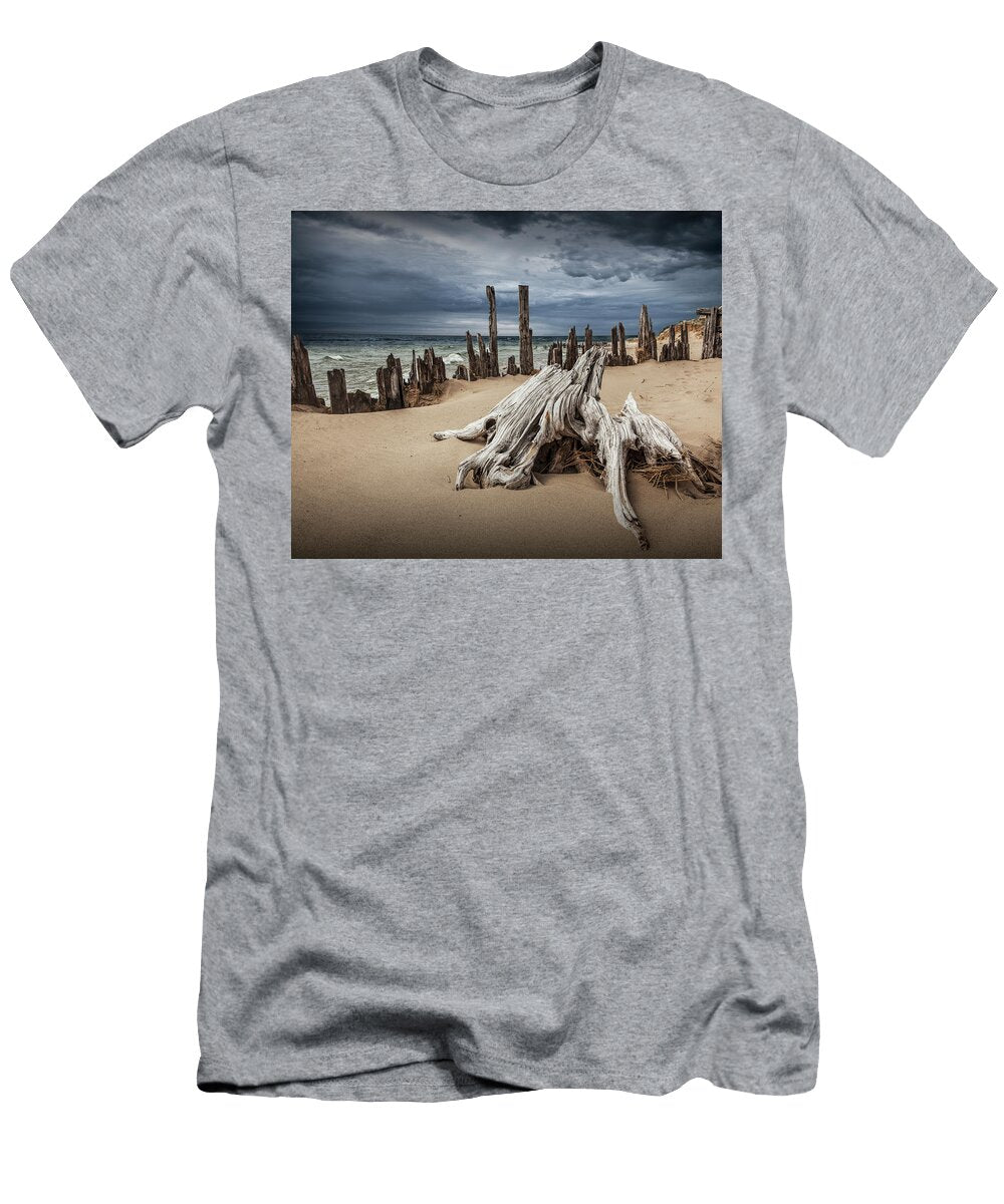 Tree Stump and Pilings on the Beach Randall Nyhof T-Shirt