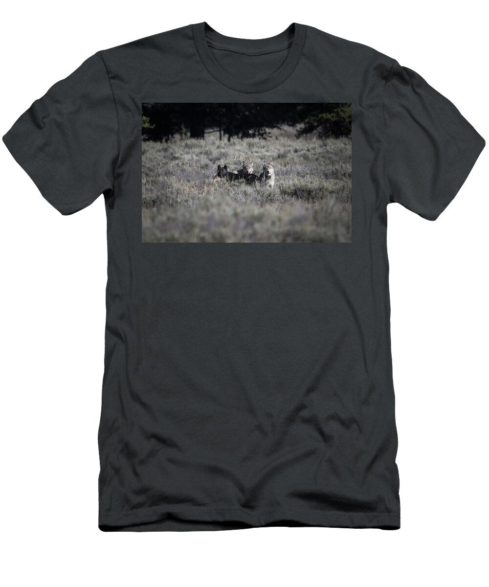 Trio Julie Argyle T-Shirt
