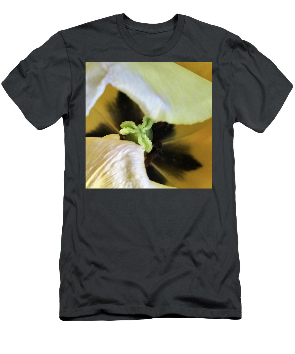 Tulip Piston Gina Washington T-Shirt