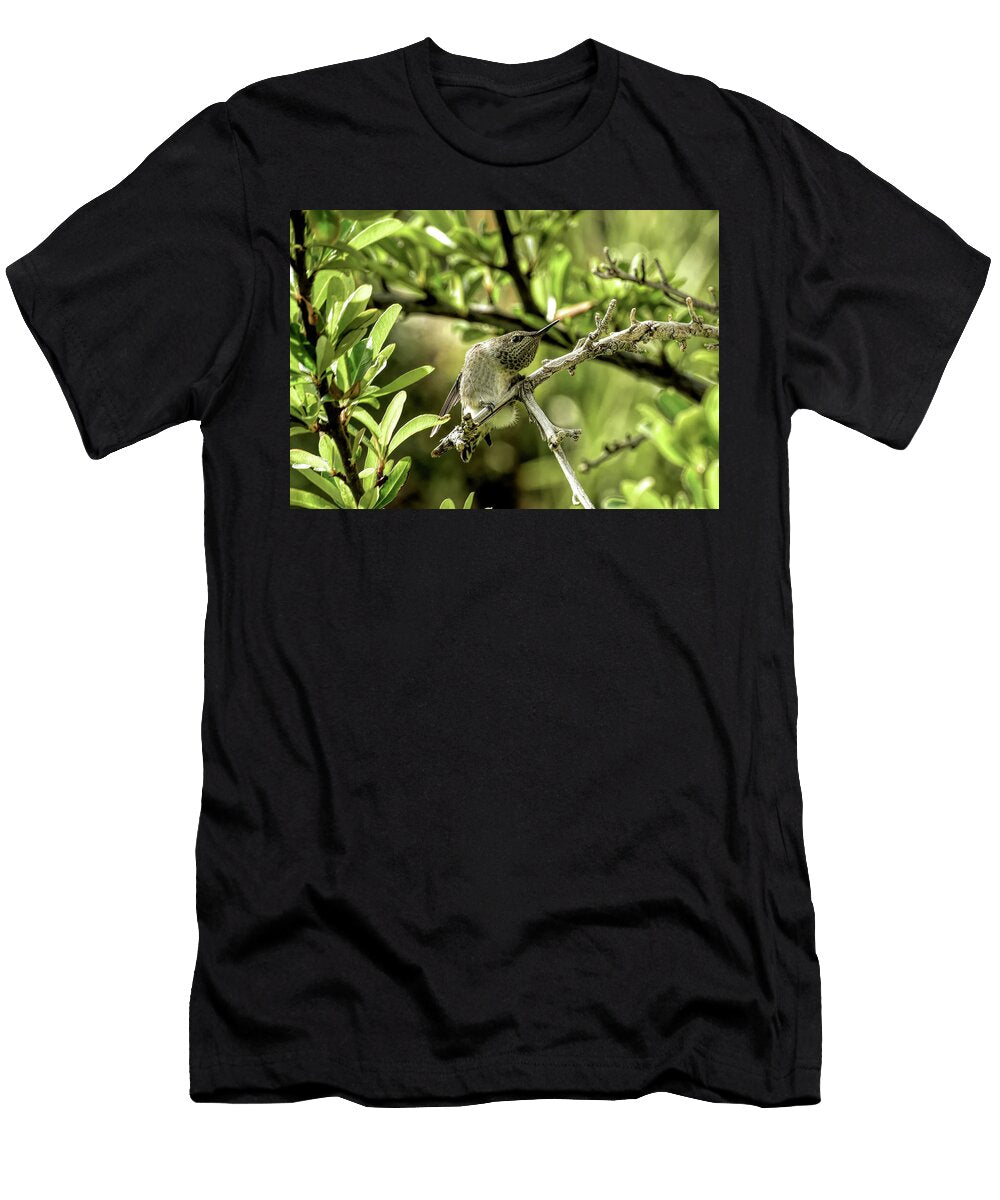 Twisting Juvenile Hummingbird Movements Linda Brody T-Shirt